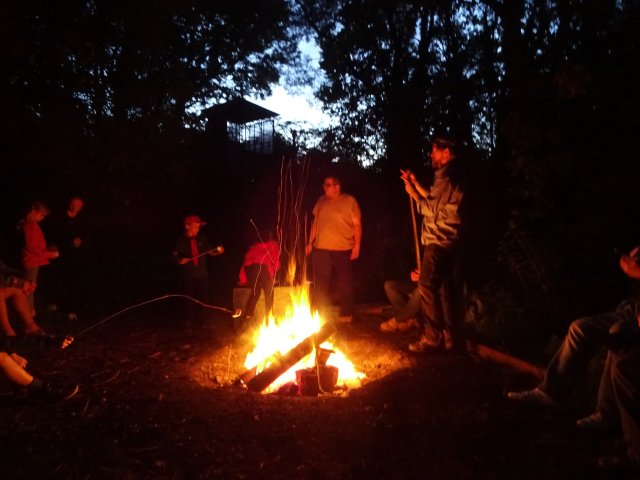 Camp
                  fire