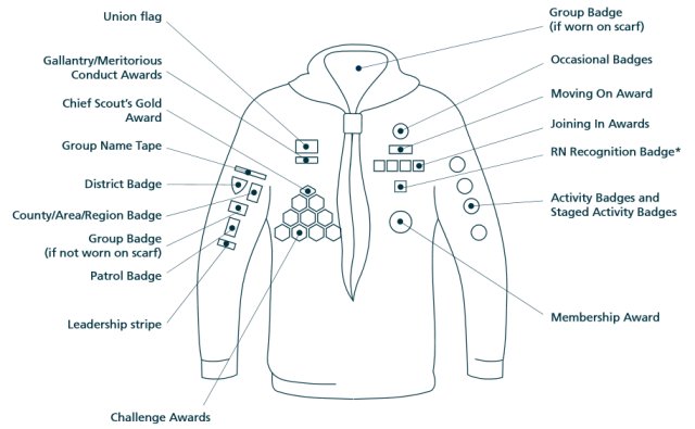 Scout badge