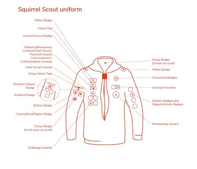 squirrel badge placement