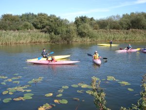 kayaks