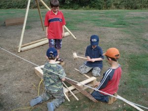pioneering