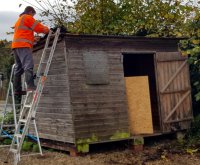 wonky shed